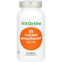 Vitorhto b5 calcium pantothenaat 250mg