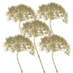 Kunstbloem Berenklauw/Heracleum - Set van 5x stuks - 80 cm - Kunstbloemen boeketten - kunsttak