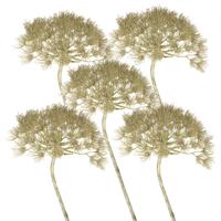 Kunstbloem Berenklauw/Heracleum - Set van 5x stuks - 80 cm - Kunstbloemen boeketten - kunsttak