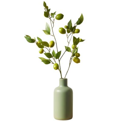 Kunstbloem citrusfruit tak limoen - 135 cm - groen - losse steel - Kunst zijdebloemen Kunstbloem citrusfruit tak limoen - 135 cm - groen - losse steel - Kunst zijdebloemen