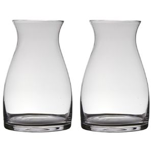 Set van 2x stuks transparante home-basics vaas/vazen van glas 38 x 26 cm Julia