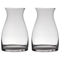 Set van 2x stuks transparante home-basics vaas/vazen van glas 38 x 26 cm Julia