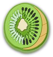 Crocs Kiwi Jibbitz Charm Multi