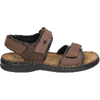 Josef Seibel RAFE - alle