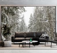 Winter dag Fotobehang bos