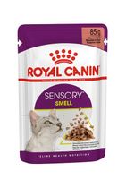 Royal Canin SENSORY Smell in Gravy natvoer kattenvoer zakjes 12x85g