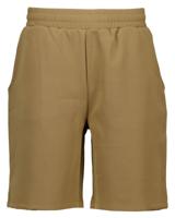 Short - Bruin