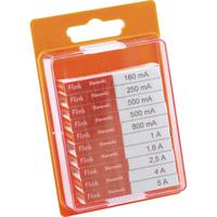 ESKA 120.950 120950 Buiszekering assortiment (Ø x l) 5 mm x 20 mm Snel -F- Inhoud 100 stuk(s)