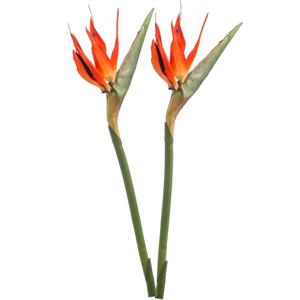 Kunstbloem Strelitzia - 2x - 85 cm - losse tak - kunst zijdebloem - Paradijsvogelplant - decoratie