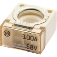 iMaXX cubeOTO CF100 Standaard steekzekering (auto) 100 A Transparant 1 stuk(s)