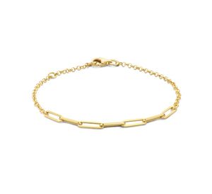 TFT Armband Goud Paperclip 2,8 mm 17 - 19 cm
