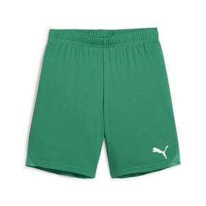 PUMA teamGOAL Voetbalbroekje Kids Groen Wit