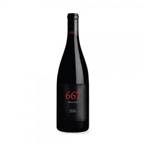 Noble Vines 667 Pinot Noir AVA Monterey