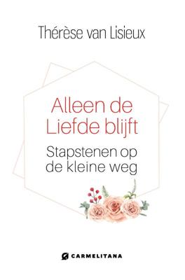 Alleen de liefde blijft (Hardback)