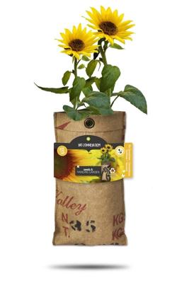 Baza hangtuintje bio mini zonnenbloem