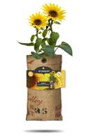 Baza hangtuintje bio mini zonnenbloem Baza hangtuintje bio mini zonnenbloem