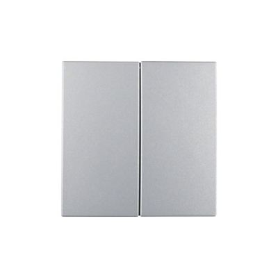 Berker Drukknop 2-voudig s/b aluminiumlook 85142183