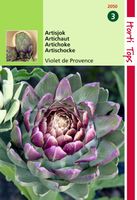 Artisjok Violet De Provence - Hortitops