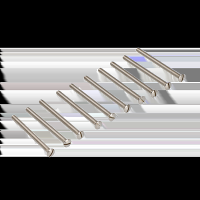 AMI Patentschroef M5X100 Rvs Verpakt Per 10 In Zakje - 900238