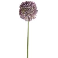 Allium/Sierui kunstbloem - losse steel - lila paars - 65 cm - Natuurlijke uitstraling   -