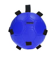 Maximus Fun Play Ball blauw - thumbnail