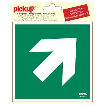 Pick picto richtingspijl 45g 150mm I - Pickup