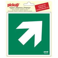 Pick picto richtingspijl 45g 150mm I - Pickup