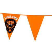 Vlaggenlijn XL - oranje met leeuw - 8 meter - 14 vlaggen - kunststof   - - thumbnail