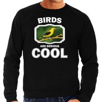 Dieren wielewaal vogel sweater zwart heren - birds are cool trui
