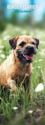 Border Terrier Kalender 2026 Slimline