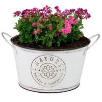 Plantenpot/bloempot teil voor buiten - zink - rond - ivoorwit - D22 x H12 cm - thumbnail