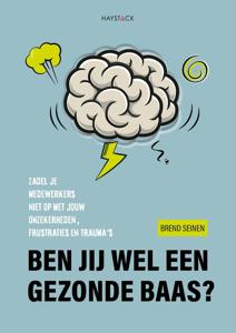 Ben jij wel een gezonde baas? - Brend Seinen - ebook