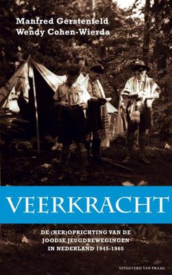 Veerkracht (Paperback)