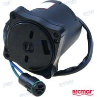 REC36120-ZY9-003 - MOTORTRIM SHOWA SUZUKI/HONDA