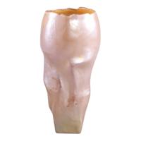 PTMD vaas forty roze 36 cm | 2 stuks