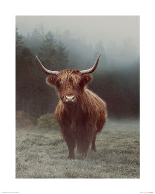 Hamish Art Print Ian Winstanley 40x50cm
