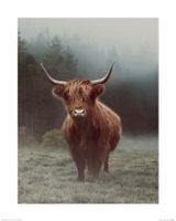 Hamish Art Print Ian Winstanley 40x50cm - thumbnail