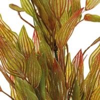 Sf art plant 40 cm henkelianus - Superfish