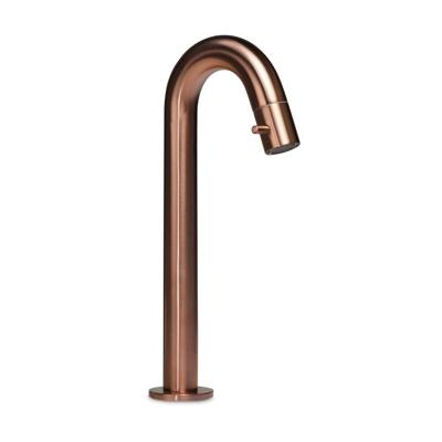 Fonteinkraan Blue Label Viby | Opbouw | Koudwater kraan | Hoog model | 1-hendel | Rond | Geborsteld brons