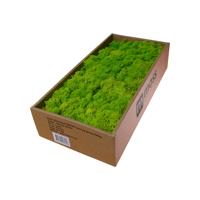 MOSS concepts Rendiermos Springgroen 500 gram MOSS concepts Rendiermos Springgroen 500 gram