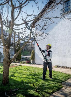 Metabo takkenzaag "ms 18 ltx 15 battery-powered pruning s ms 18 ltx 15