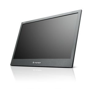 Lenovo ThinkVision LT1421 35,6 cm (14") 1366 x 768 Pixels Zwart