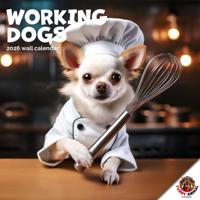 Honden aan het Werk Kalender 2026