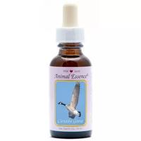 Animal Essences Canada goose (Canadese gans) 30 Milliliter
