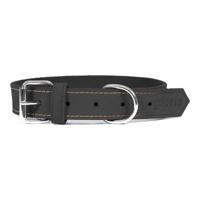 Hondenhalsband Gloria Oasis Zwart (45 x 1,8 cm)