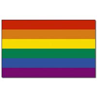 Vlag met regenboog print   -