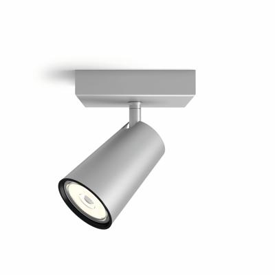 Philips SpotlampPaisley grijs - 5057148PN