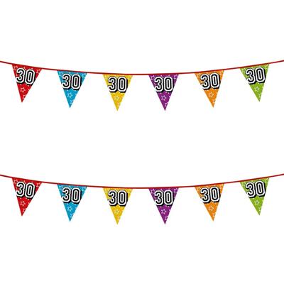 Boland Vlaggenlijn 30 jaar - 2x - multicolor - glitters - 8 meter - kunststof - vlaggetjes Boland Vlaggenlijn 30 jaar - 2x - multicolor - glitters - 8 meter - kunststof - vlaggetjes