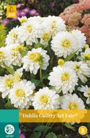 Dahlia Gallery Art Fair Bloembol JUB 1 bol - Jub