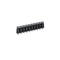 Bosch Professional Staalnagels 16 mm voor GNB 18V-38 VE=1000 - 1600A02F4T Bosch Professional Staalnagels 16 mm voor GNB 18V-38 VE=1000 - 1600A02F4T
